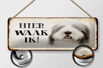 Panneau en étain avec inscription « Dutch Here Waak ik Bobtail Dog » 27 x 10 cm. 2
