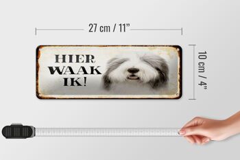 Panneau en étain avec inscription « Dutch Here Waak ik Bobtail Dog » 27 x 10 cm. 4