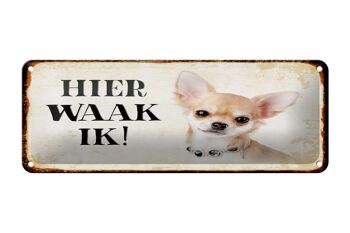 Plaque en tôle disant 27x10 cm Dutch Here Waak ik Chihuahua avec chaîne 1