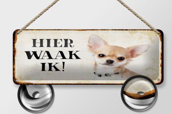 Plaque en tôle disant 27x10 cm Dutch Here Waak ik Chihuahua avec chaîne 2
