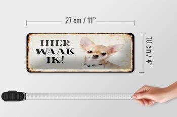 Plaque en tôle disant 27x10 cm Dutch Here Waak ik Chihuahua avec chaîne 4