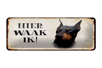 Plaque en tôle avec inscription « Dutch Here Waak ik Dobermann » 27 x 10 cm. 1