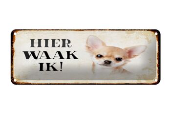 Plaque en tôle disant 27x10 cm Dutch Here Waak ik Chihuahua décoration lisse 1