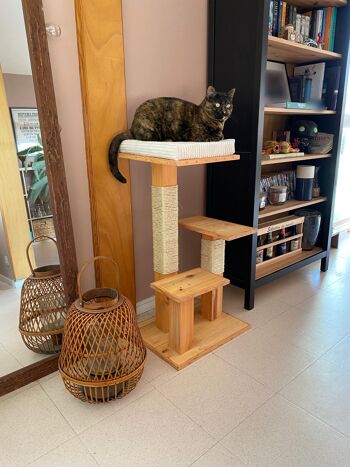 Arbre à chat en bois, plateformes pour chat, lit pour chat, grattoir pour chat, griffoir pour chat 1