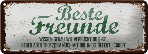 Blechschild Spruch Beste Freunde verrückt wissen genau 27x10cm