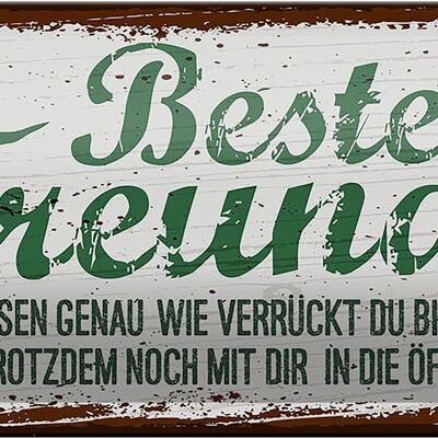 Blechschild Spruch Beste Freunde verrückt wissen genau 27x10cm