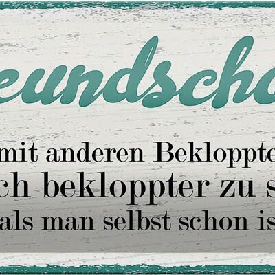 Blechschild Spruch Freundschaft noch bekloppter sein 27x10cm