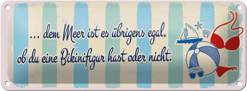 Blechschild Spruch Meer Urlaub egal ob du Bikinifigur 27x10cm