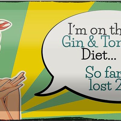 Blechschild Spruch I´m on the Gin & Tonic Diet 27x10cm Dekoration