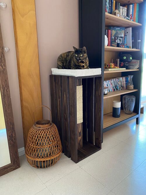 Arbre à chat en bois, plateformes pour chat, lit pour chat, grattoir pour chat, griffoir pour chat