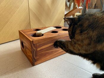 Boîte à jeux pour chat, griffoir pour chat, jeux pour chats 3