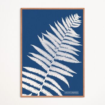 Affiche : Lastrea Oreopteris - Anna Atkins 1