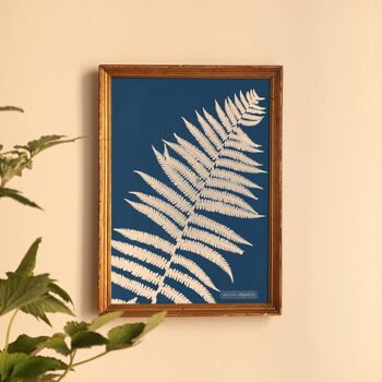 Affiche : Lastrea Oreopteris - Anna Atkins 2