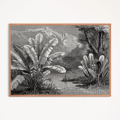 Poster: Tropischer Sumpf