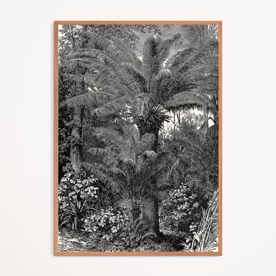 Poster: Tropical Palm Trees