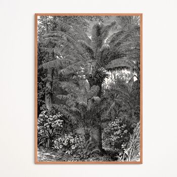 Affiche : Palmiers Tropicaux 1