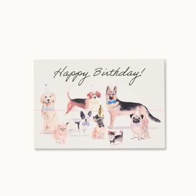 Scheda braccialetto: Dogparty