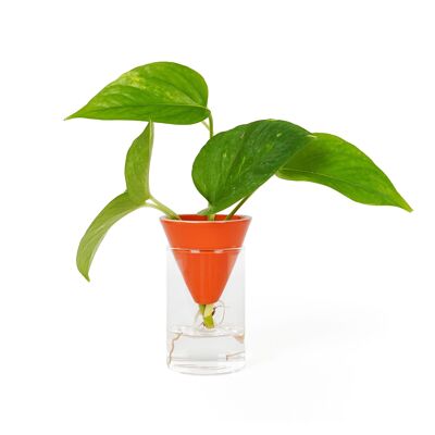 ORANGE CONE HYDROPONICS VASE HF