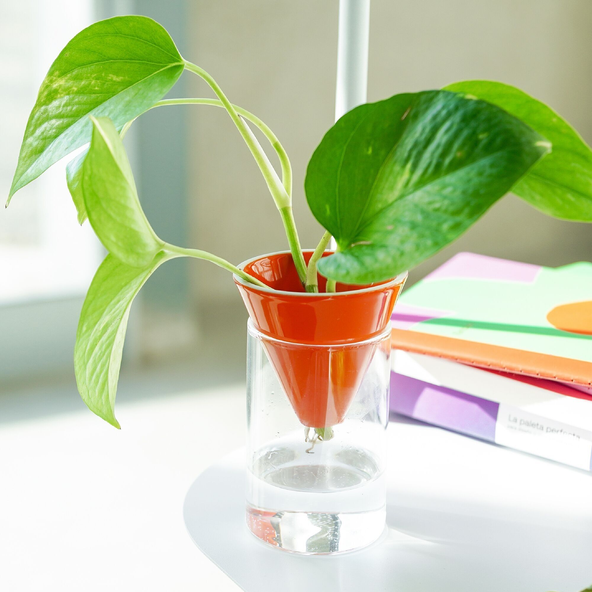 ORANGE CONE HYDROPONICS VASE HF