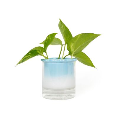 HYDROPONIC VASE CELESTINA HF