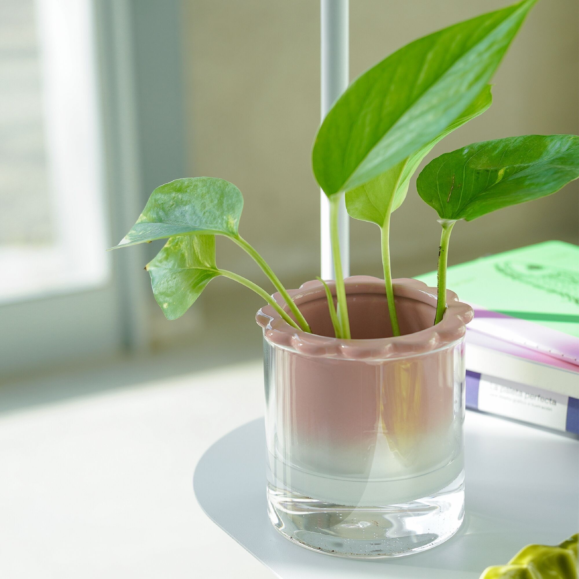HYDROPONIC VASE DALIA HF