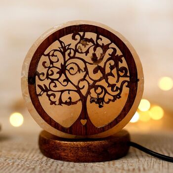 Lampe à sel de l'Himalaya USB 2 pièces Tree of Life 1