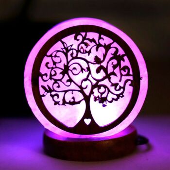 Lampe à sel de l'Himalaya USB 2 pièces Tree of Life 2