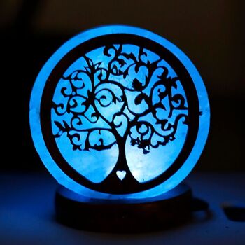 Lampe à sel de l'Himalaya USB 2 pièces Tree of Life 3