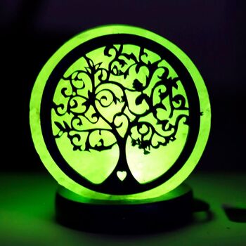 Lampe à sel de l'Himalaya USB 2 pièces Tree of Life 4