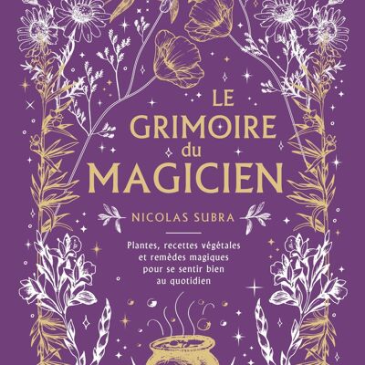 BOOK - The magician's grimoire