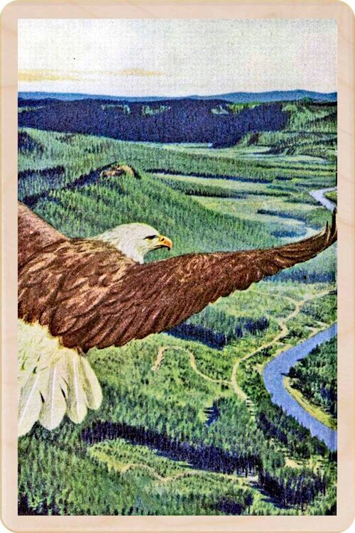 Wooden Postcard FLYING EAGLE Card