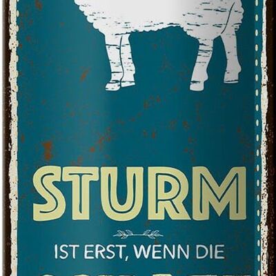 Blechschild Spruch Sturm wenn Schafe keine Locken 10x27cm