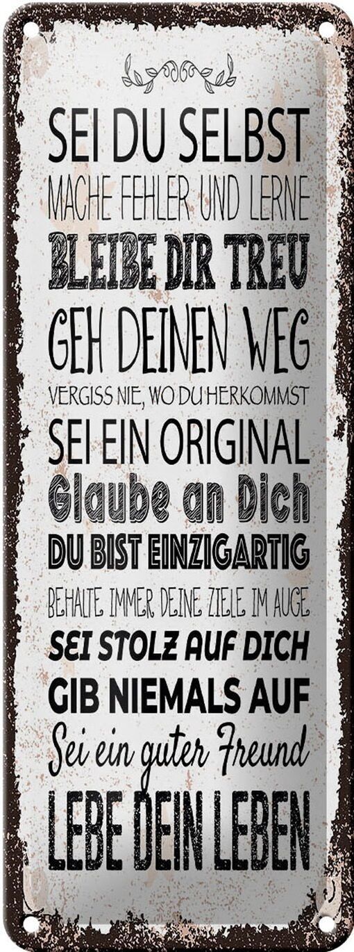 Blechschild Spruch Sei du selbst mache Fehler lerne 10x27cm
