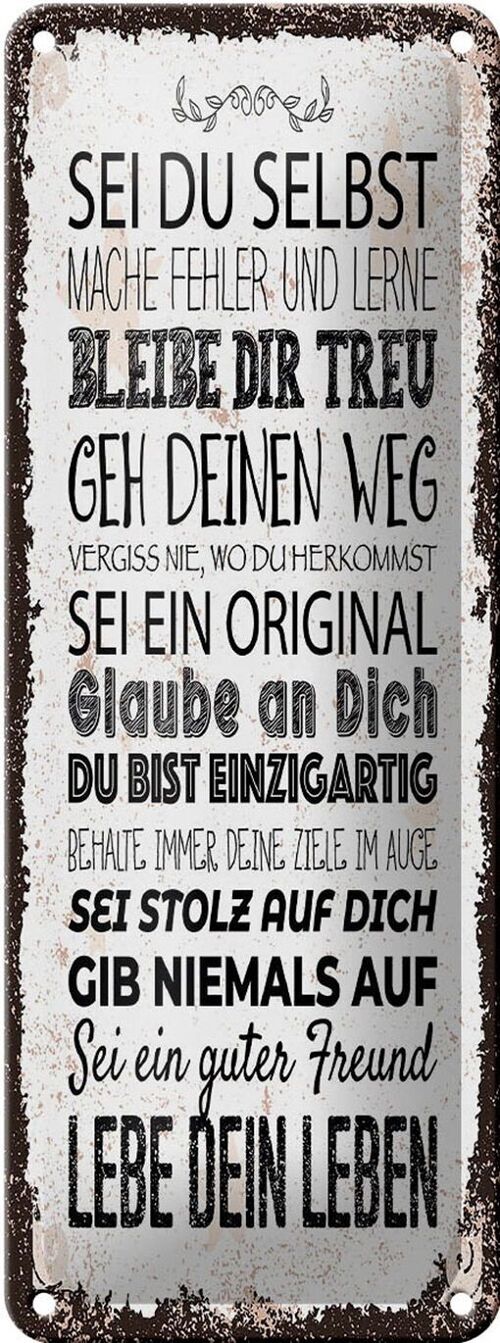 Blechschild Spruch Sei du selbst mache Fehler lerne 10x27cm