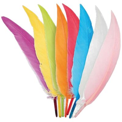 Disfraz de plumas indias colores surtidos