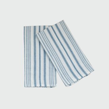 Stripe Dish Towel in Blue, Set of 2 1