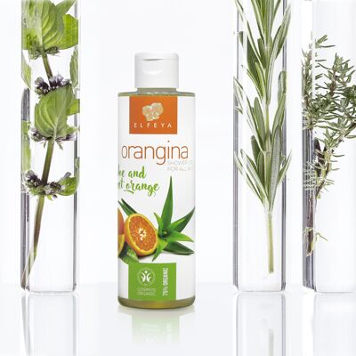 GEL DE LAVADO ECOLÓGICO 75% CON ALOE Y NARANJA DULCE