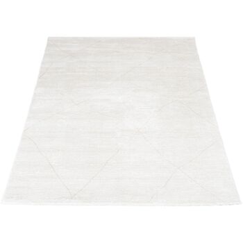 Tapis Nica 1601 – 300 x 400 cm 1