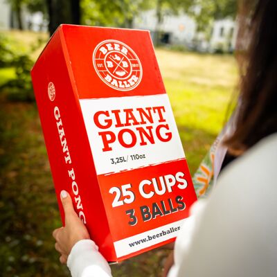 Pong gigante