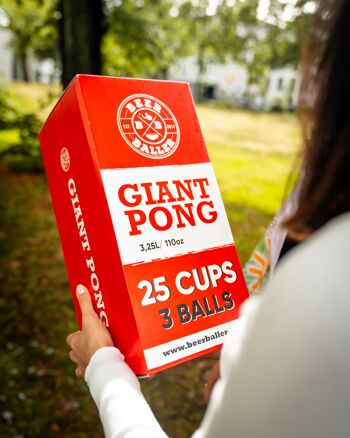 Pong géant 1