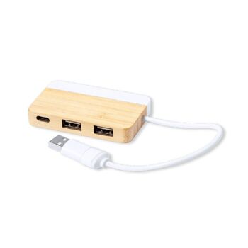 Port Usb Layais 2