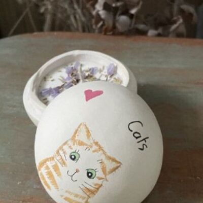 A-Cat - Adoro i gatti -Candlepot Ginger Tabby