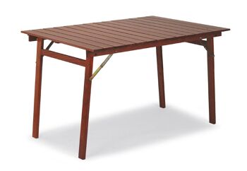 TABLE PLIANTE P NOYER 120 cm 1