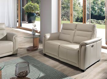 Canapé relax 2 places cuir gris taupe 6157 5