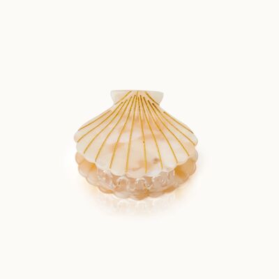 Seashell hair clip nude
