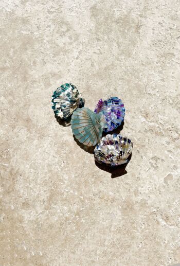 Barrette coquillage turquoise 3