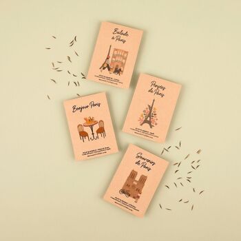 Bonjour Paris – Sachets de graines de nigelle de damas 2