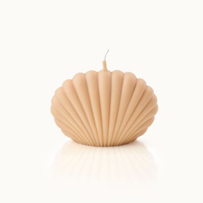 Shell-shaped candle large mocha