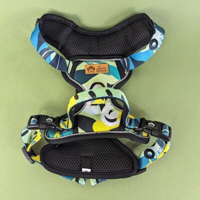 Reef No-Pull Dog Harness
