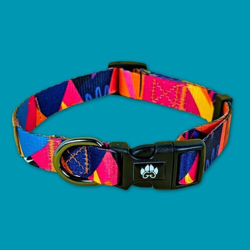 Collier pour chien Panache